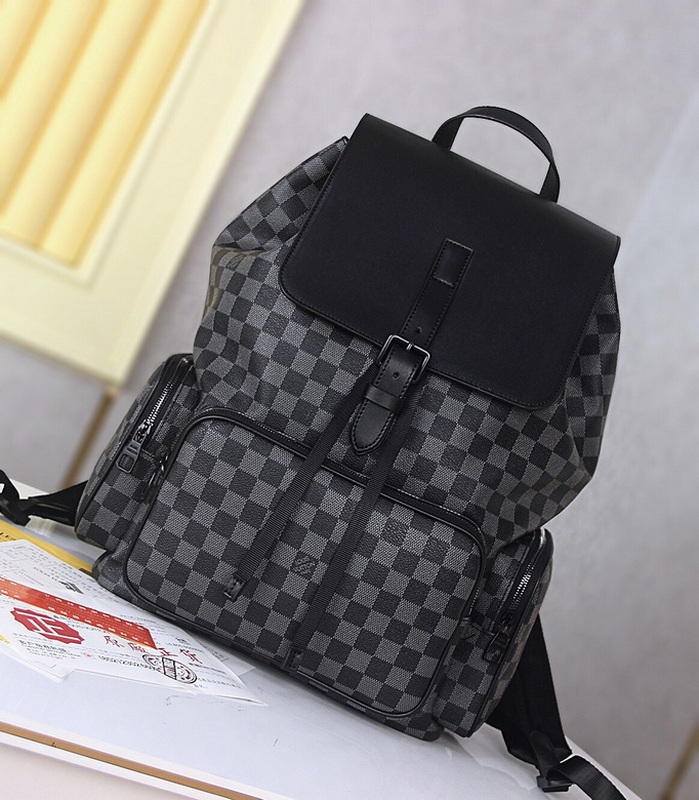 LV Handbags 517